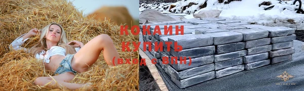 экстази Арсеньев
