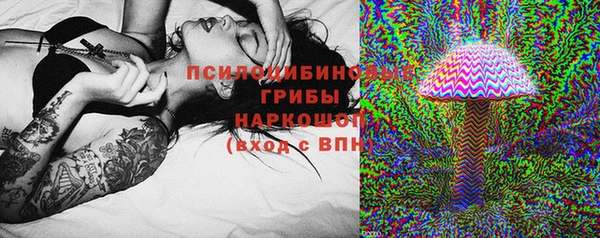 гидропоника Аркадак