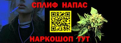 прущие грибы Гусев