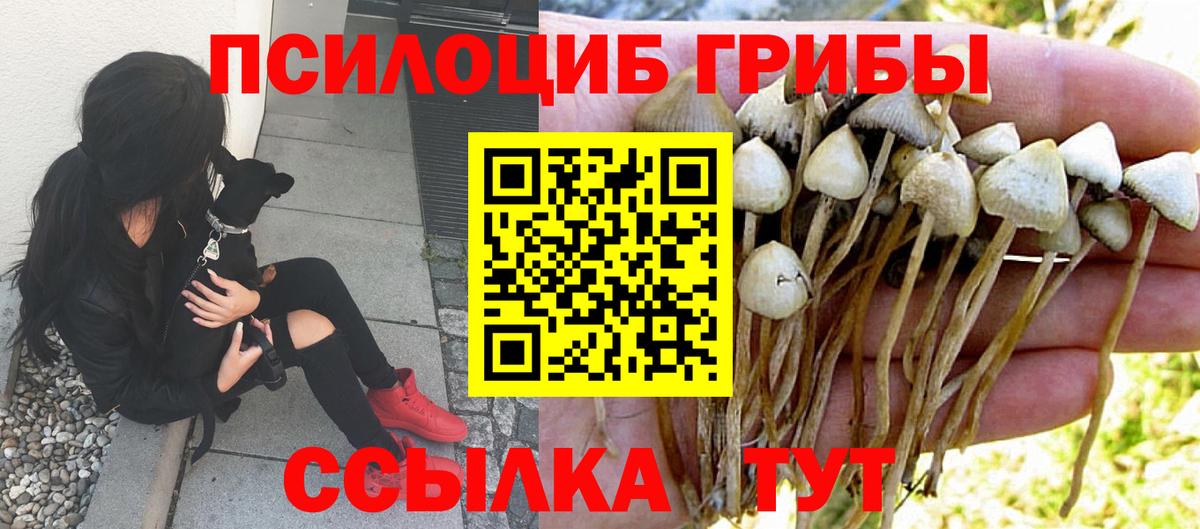 Луховицы  Галлюциногенные грибы Psilocybe  Псилоцибиновые грибы мицелий  наркошоп  Вход с VPN 